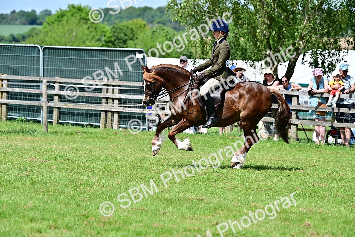 SBM_07927