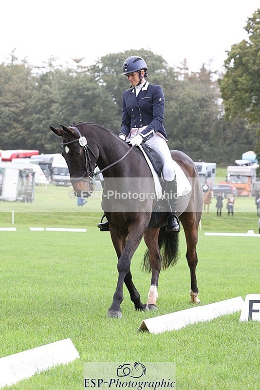 231019-102536-02311 - 603-KILBUNNY.BLUE.BIRD-Claire.Deuten-DR