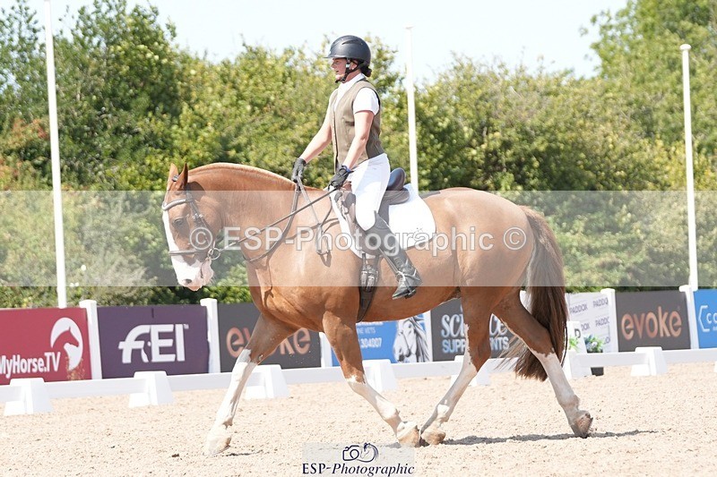 250817-141352-10615 - 048-Kirsty.ClackworthyStitch