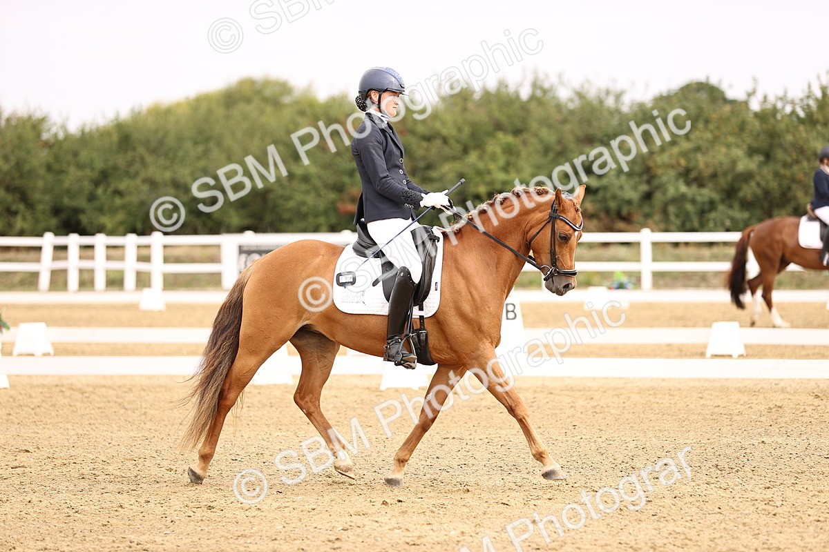 SBM_011702 - Class 1 - Medium 5