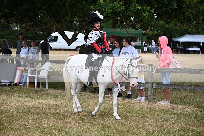 WJ6_4616 - Class 11 Fancy Dress
