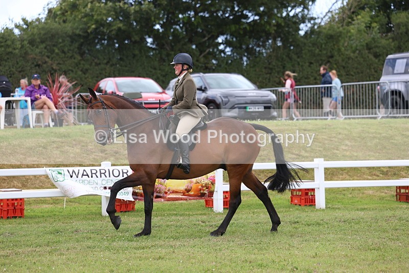 3E7A1460 - Class 9: Open Hunter