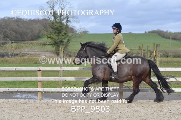 BPP_9503 - RING 2 - M&M