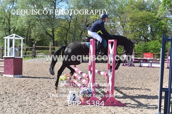 BPP_5384 - CLASS 22 SUN Club/ Unaffiliated 80cms Open