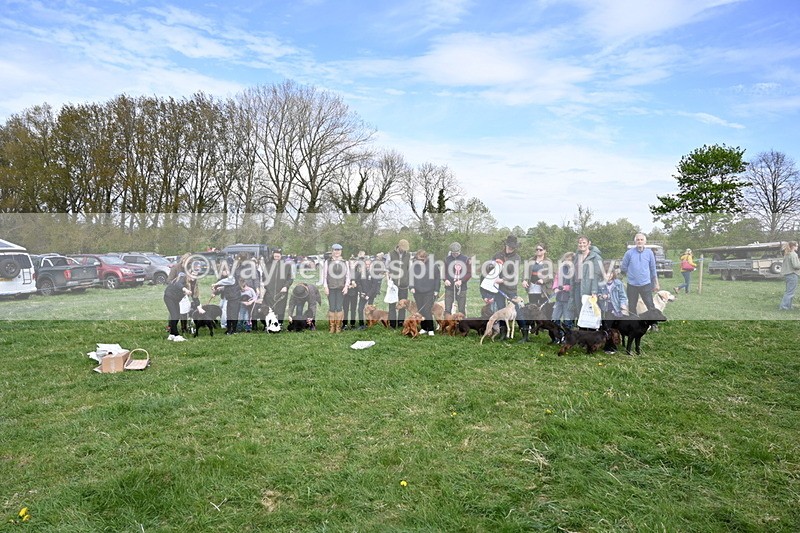 WJ6_9161 - Class 8 Best Working / Gun Dog or Bitch