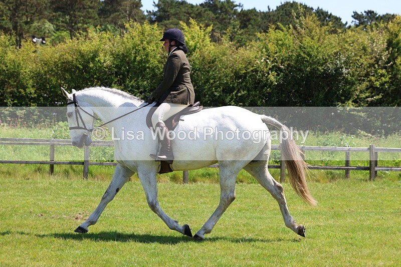 3E7A8067 - Working Hunter Championship