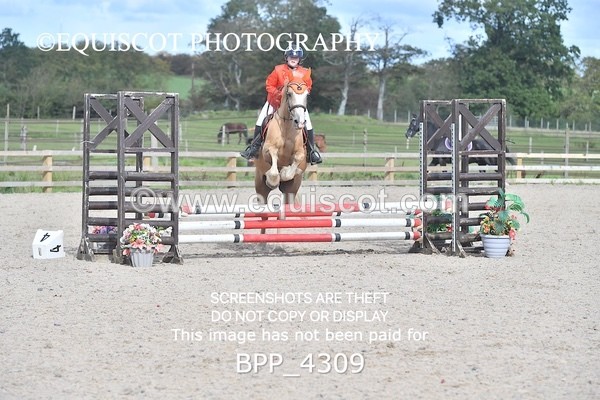 BPP_4309 - CLASS 6 HORSE 60CM FINAL