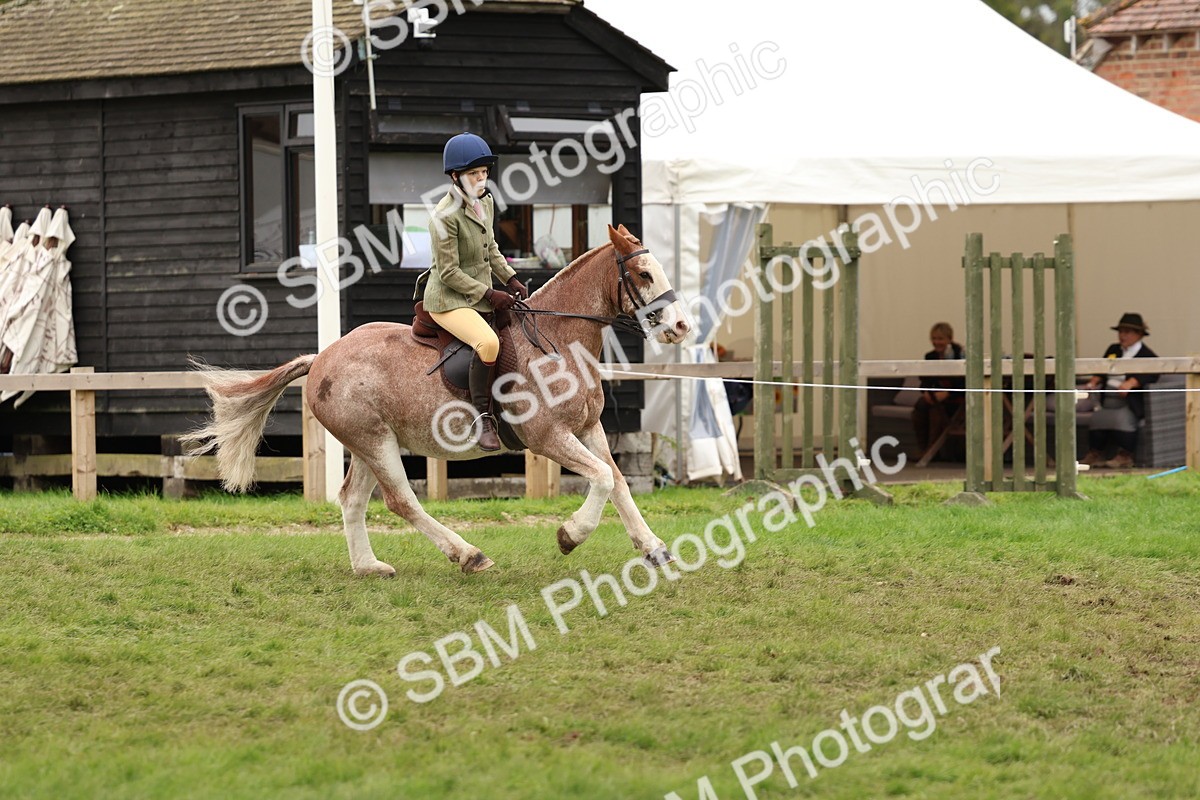 SBM_64627 - S58 - Coloured Pony Ridden