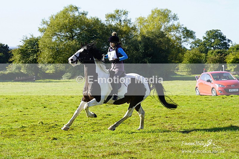  WWHT 031021 710 - WWEC Novice Restricted (0.80m) 18/10/20