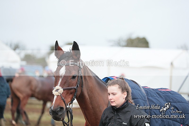 PtP 210124 562 - Cocklebarrow Races Point-to-Point 21/01/24