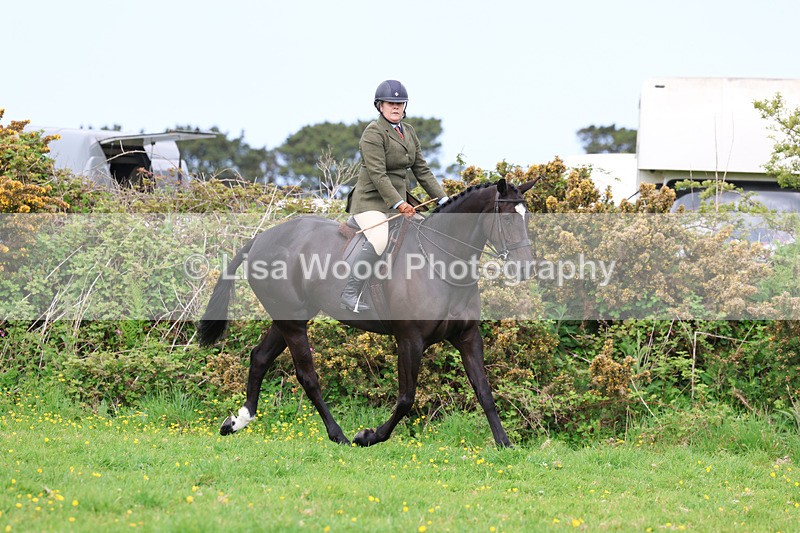 3E7A1319 - Class 7: Ridden Hunter Type