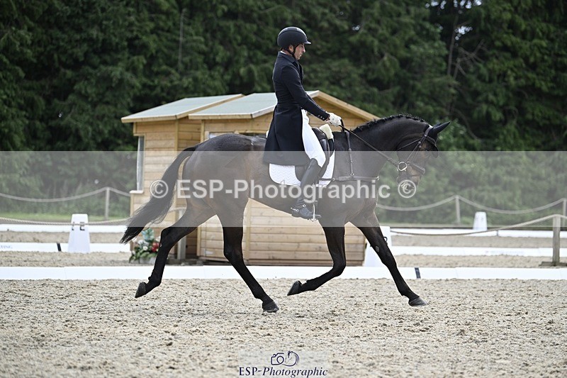 000101-190714-03855 - 426-VISCOUNT_VIKTOR-Tim_Price