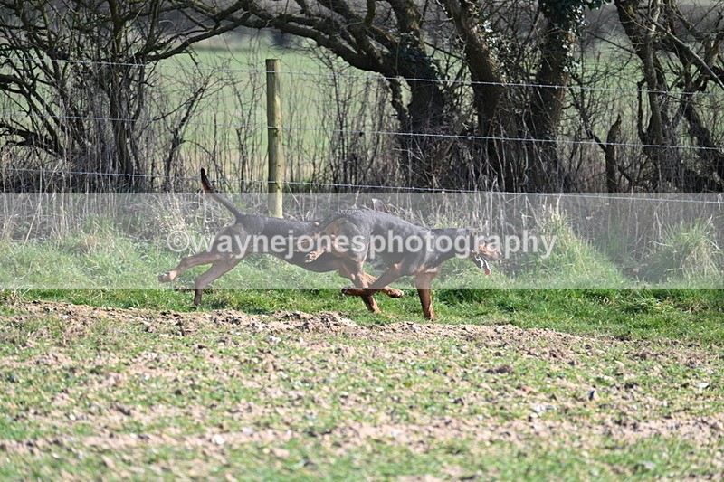 WJ7_5706 - Camera A
