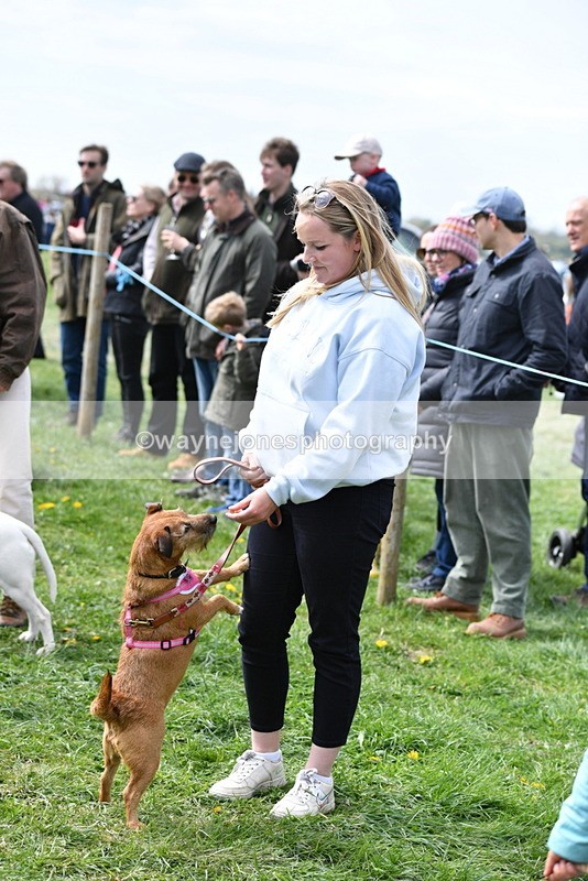 WJ5_0596 - Class 7 Best Terrier