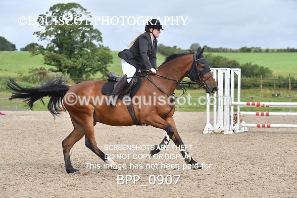 BPP_0907 - CLASS 3  Senior British Novice/ 90cm Open