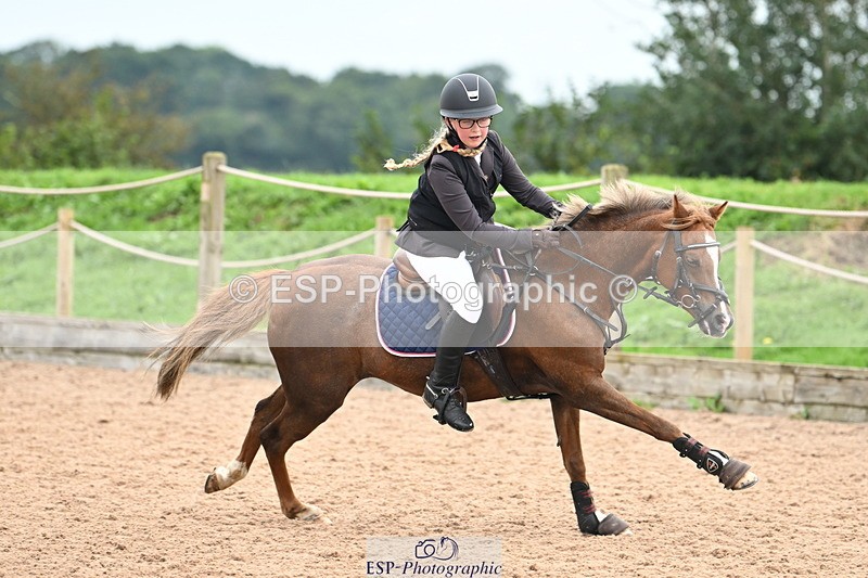 240907A-124441-01746 - Cls 3 Pony Medium Team 80cm & 90cm