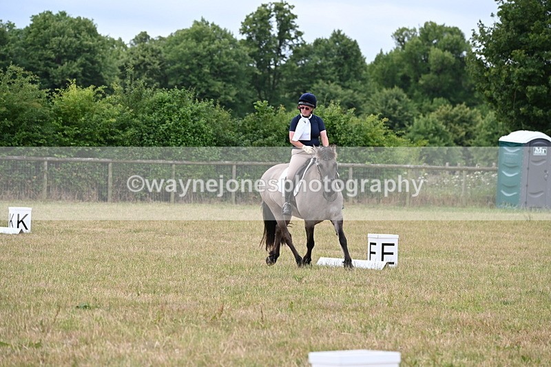 WJ6_1229 - Time 10:28 to 10:40