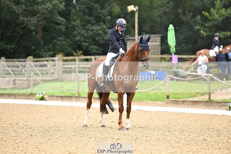 240811-102356-05010 - 110-Helen.Kitto-Da.Vinci.IV