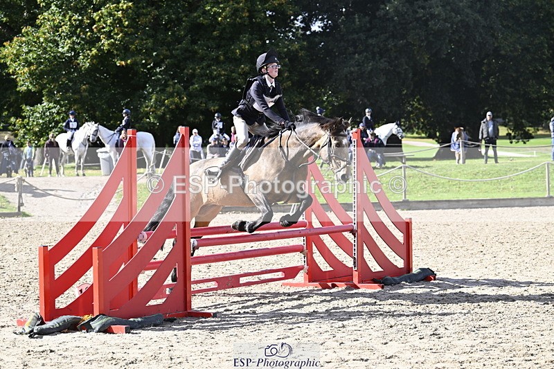 251005A-141048-04314 - Cls 09 Nov 80-85cm