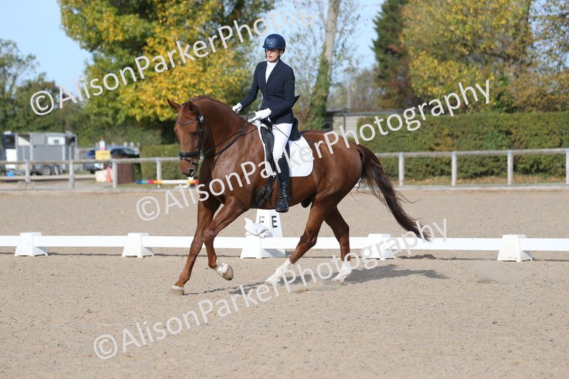 20261011-0268 - Class 4 - Novice 6