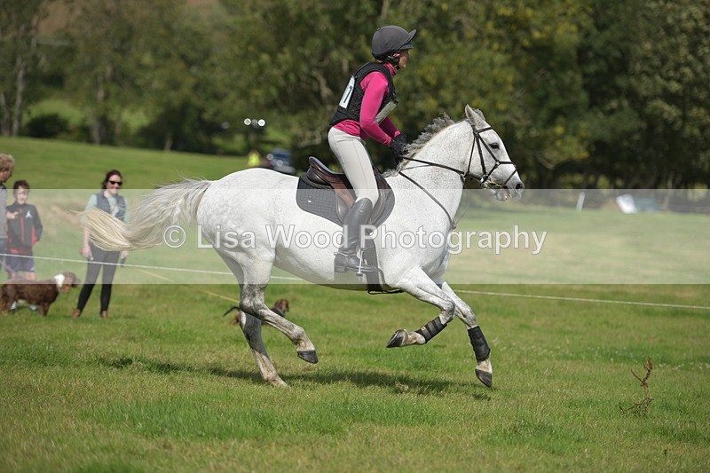 RAY_8774 - Class 2: Trekenning Open: Wall