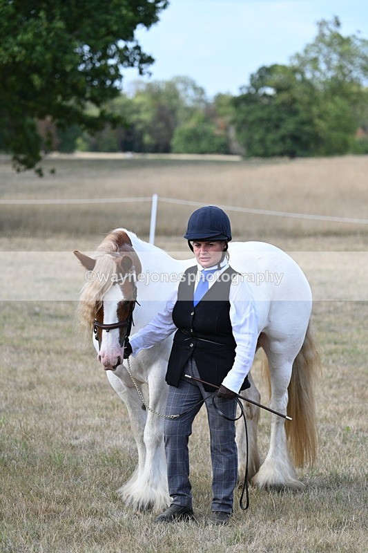 WJ7_8330 - In-hand Championship