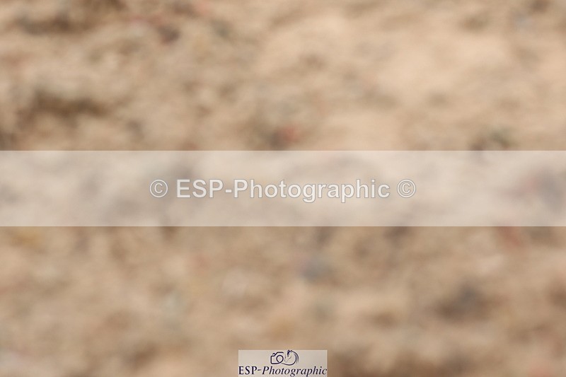 240622A-114750-09078 - Cls 30 BD Elementary 53