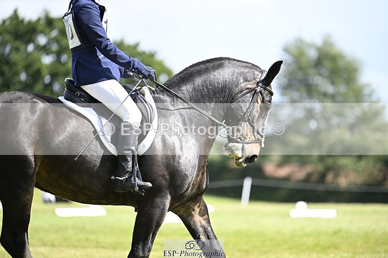 240824X-130413-26685 - D80 Section E and F 12.00 to 13.20