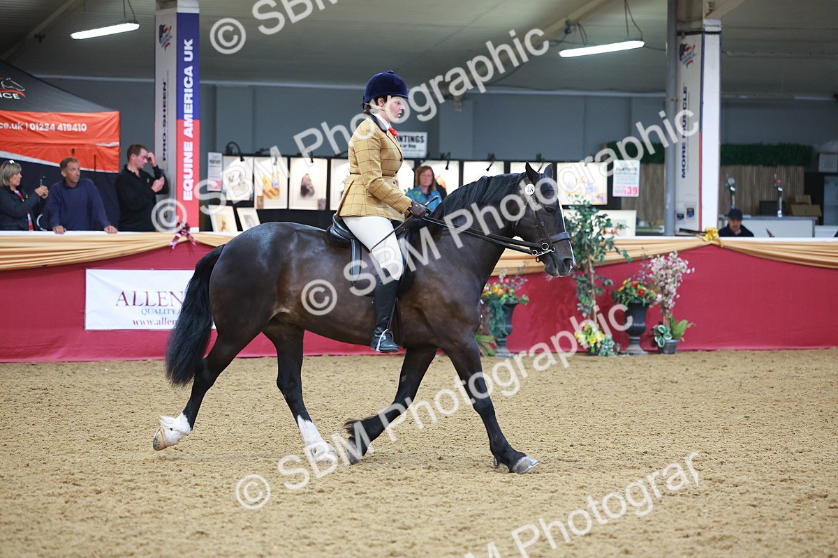 SBM_10675 - Class 103 - HOYS Veteran Qualifier - Ridden Pre Vet