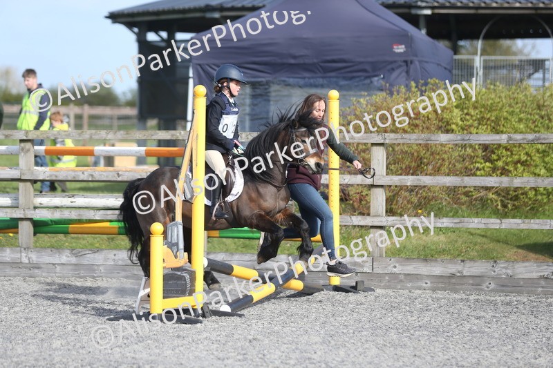 20260412-0050 - Show Jumping