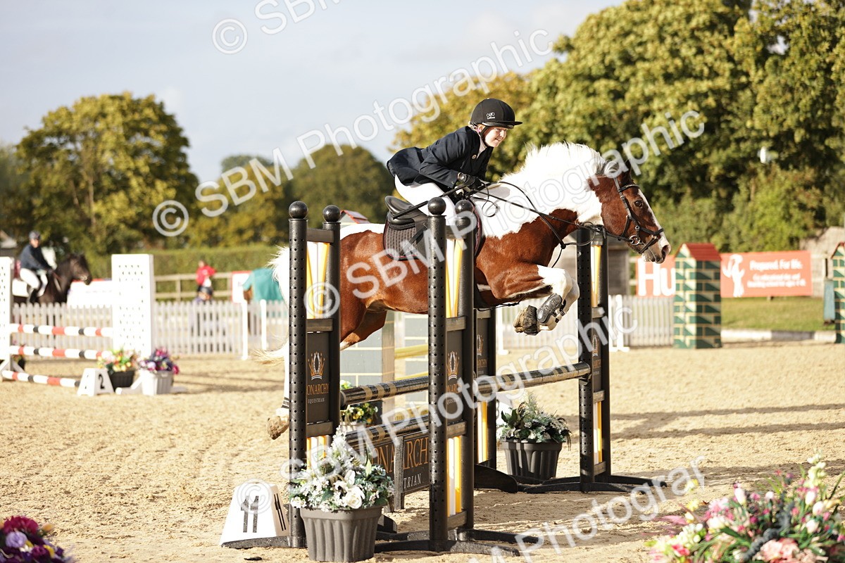 SBM_29946 - j52 - Open 80cm