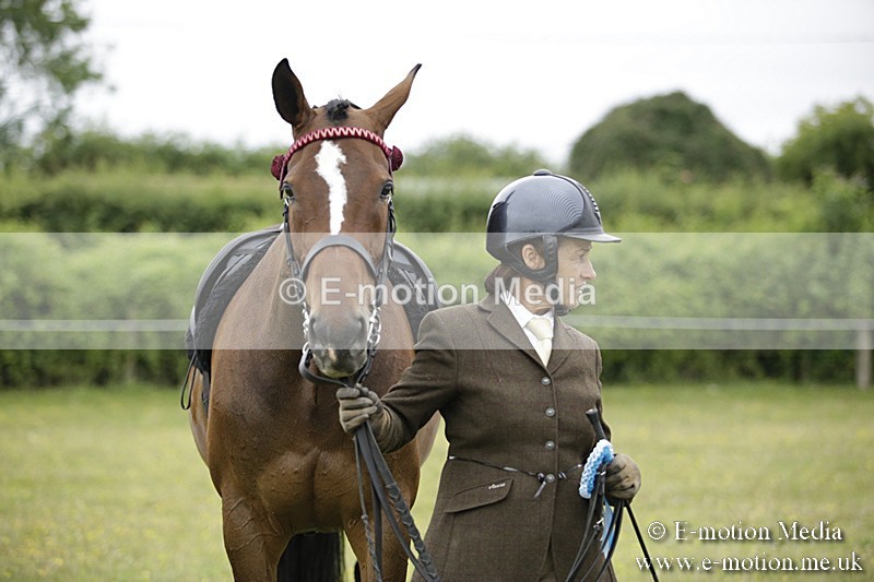 BVR160717-1059 - Ring 1 BVRC Show 16/07/17