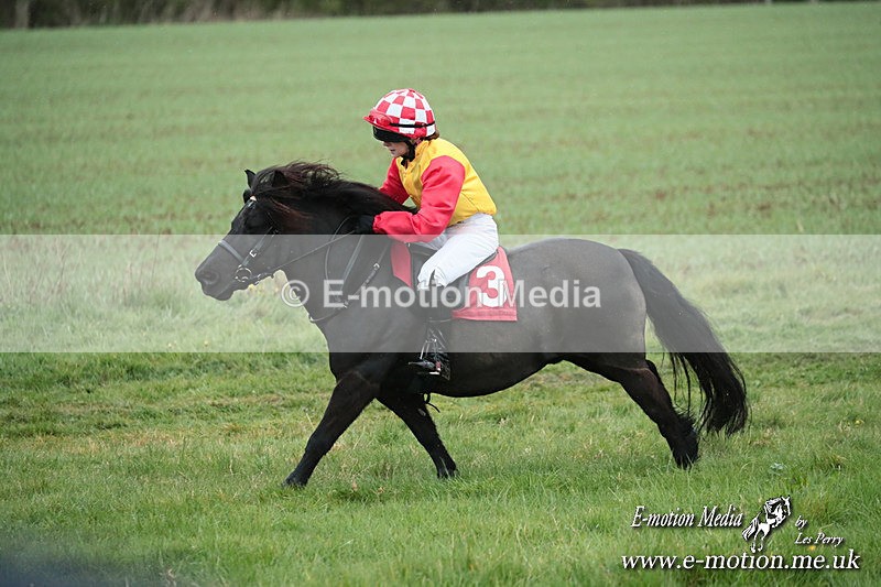 SHETPR 210425 134 - Shetland Ponies Paxford Races 21/04/25