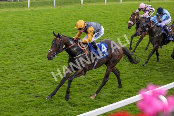 121024-Race 1-Jungle Drums-7221 - Race 1 1.30pm Coral Rockingham Stakes
