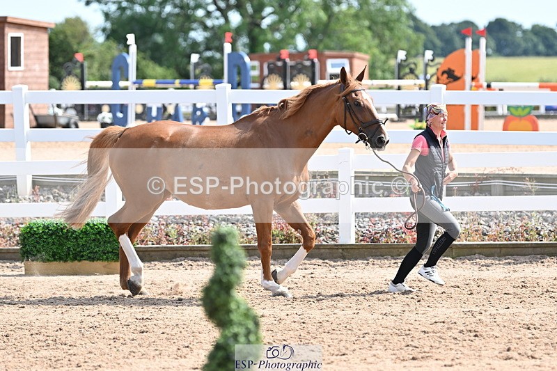 240717A-155554-03197 - Trot Up 3pm to 4pm