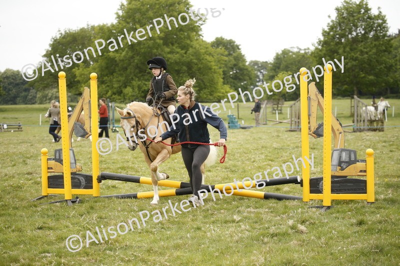 20250517-0207 - Class 1 - 30cm On Lead Rein