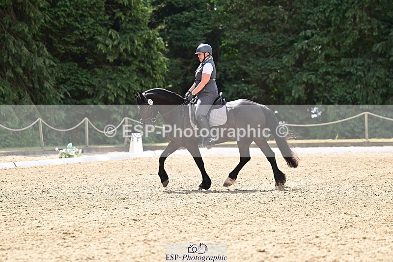 260802A-115434-06003 - Novice Silver break- end