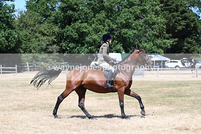 WJ7_3091 - Class 7 Riding Club Show Horse