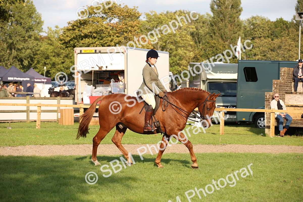 SBM_54309 - S27 - Mature Veteran - Ridden