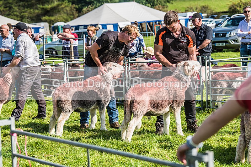 Loweswater Show-28 - Loweswater Show Junior & Senior Fell Races Sunday 3rd September 2023