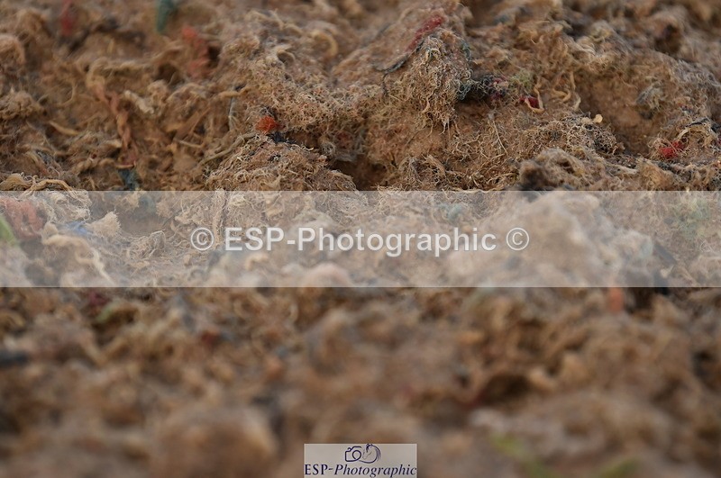 231104A-141212-02057 - Cls 10 Medium 61