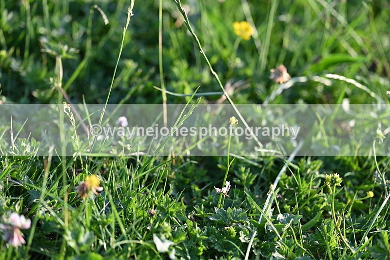 WJ7_0147 - Time 19:22 to 19:36