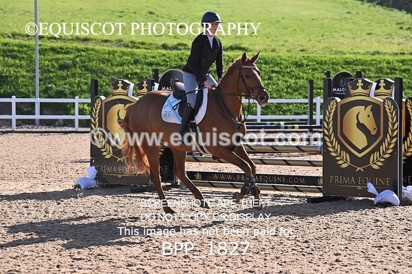 BPP_1827 - CLASS 2 - FRI - KBIS Club Senior 80cms