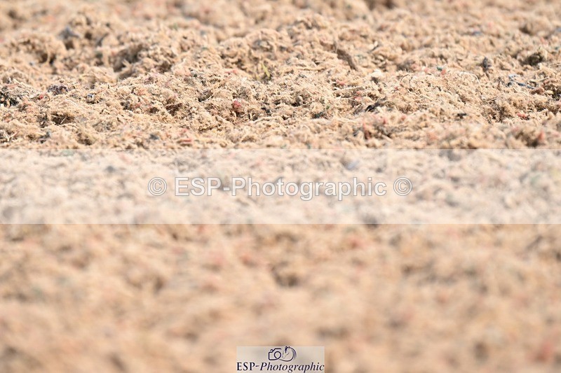 250620-104245-02669 - BD Cls 4 - Novice 5, Start to 11.30am