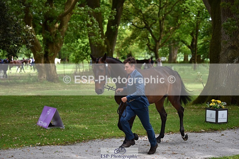 240522-150344-00066 - 303-KILLEENHOUSESTUD_OBOS_16-Tom_D_Crisp