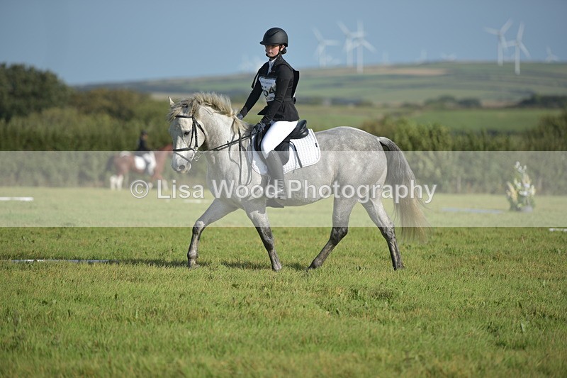 RAY_7388 - Class 2B: Trekenning Open: Dressage