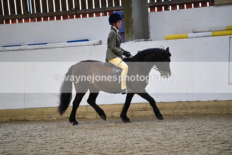 WJ5_6930 - Class 10 Childs Pony