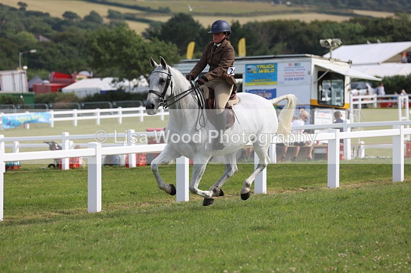 JPP_4272 - Class 25: Working Show Horse