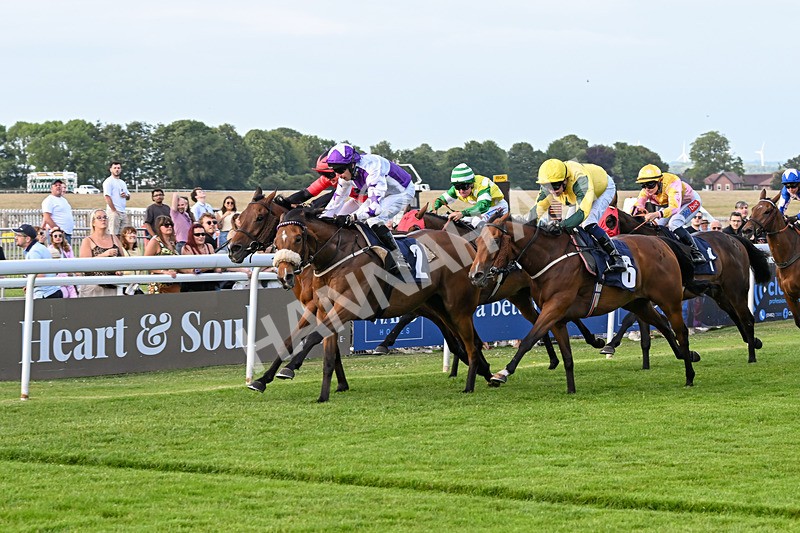 170625-Race 3-Dumfries-6430 - Race 3