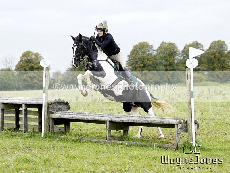 _DSC8404 - Edited examples
